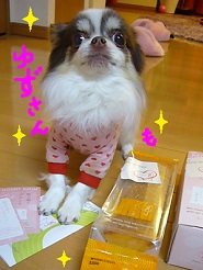 2013032509.jpg