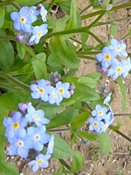 2013032514.jpg