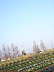 2013032516.jpg