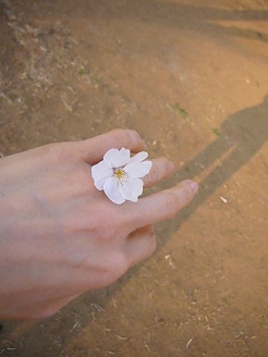 2013032517.jpg