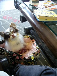 2013040202.jpg