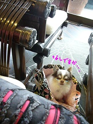 2013040203.jpg