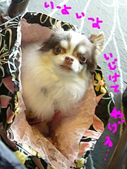 2013040204.jpg
