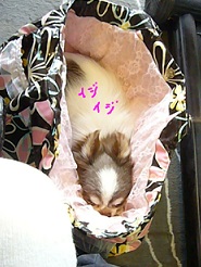 2013040205.jpg
