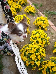 2013040207.jpg
