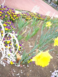 2013040209.jpg