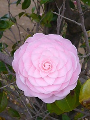 2013040210.jpg