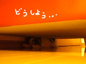 2013040501.jpg