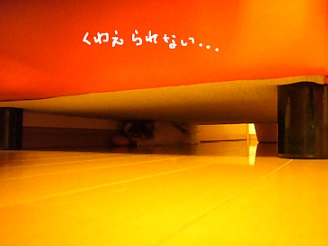2013040502.jpg