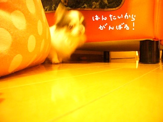 2013040503.jpg