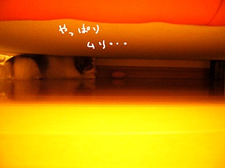 2013040504.jpg