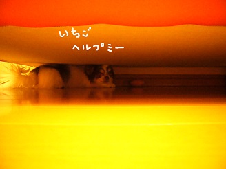 2013040505.jpg