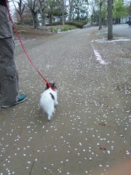 2013040601.jpg