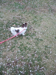2013040602.jpg