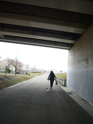 2013040901.jpg
