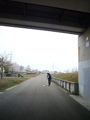 2013040902.jpg