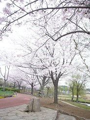 2013040904.jpg