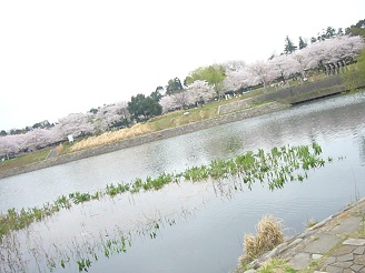 2013040907.jpg