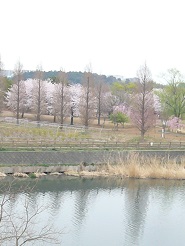 2013040910.jpg