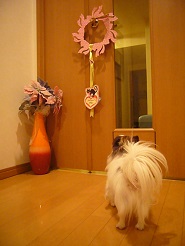 20130409101.jpg
