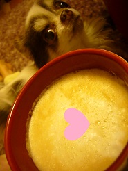 20130409107.jpg