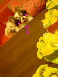 20130409108.jpg