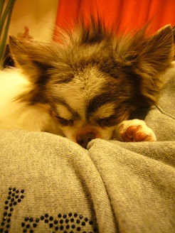2013041001.jpg