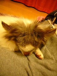 2013041002.jpg