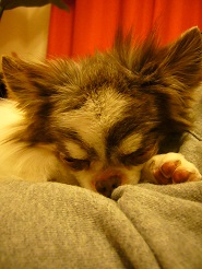 2013041003.jpg