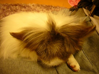 2013041004.jpg