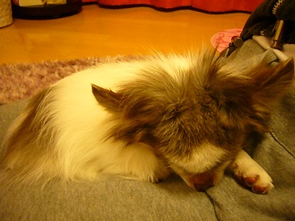 2013041005.jpg