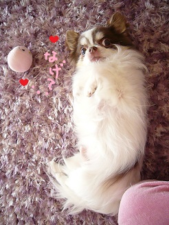 2013041902.jpg