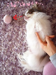 2013041903.jpg
