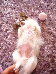 2013041905.jpg