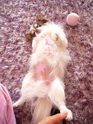2013041906.jpg