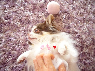 2013041908.jpg