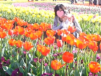 2013041913.jpg