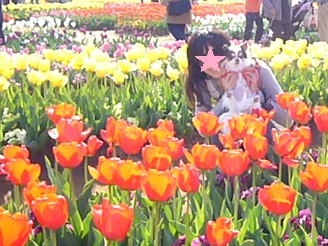 2013041914.jpg