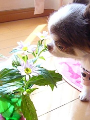 20130420.jpg