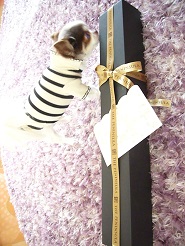 2013042401.jpg