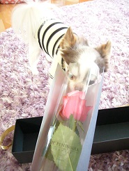 2013042402.jpg