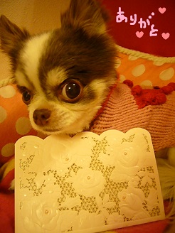 2013042403.jpg