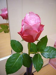 2013042405.jpg