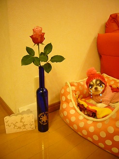 2013042407.jpg