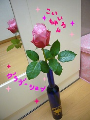 2013042408.jpg