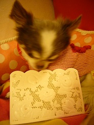 2013042409.jpg