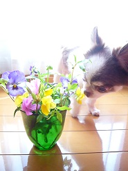 2013042501.jpg