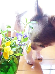 2013042502.jpg