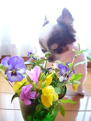 2013042503.jpg