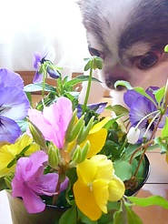 2013042504.jpg